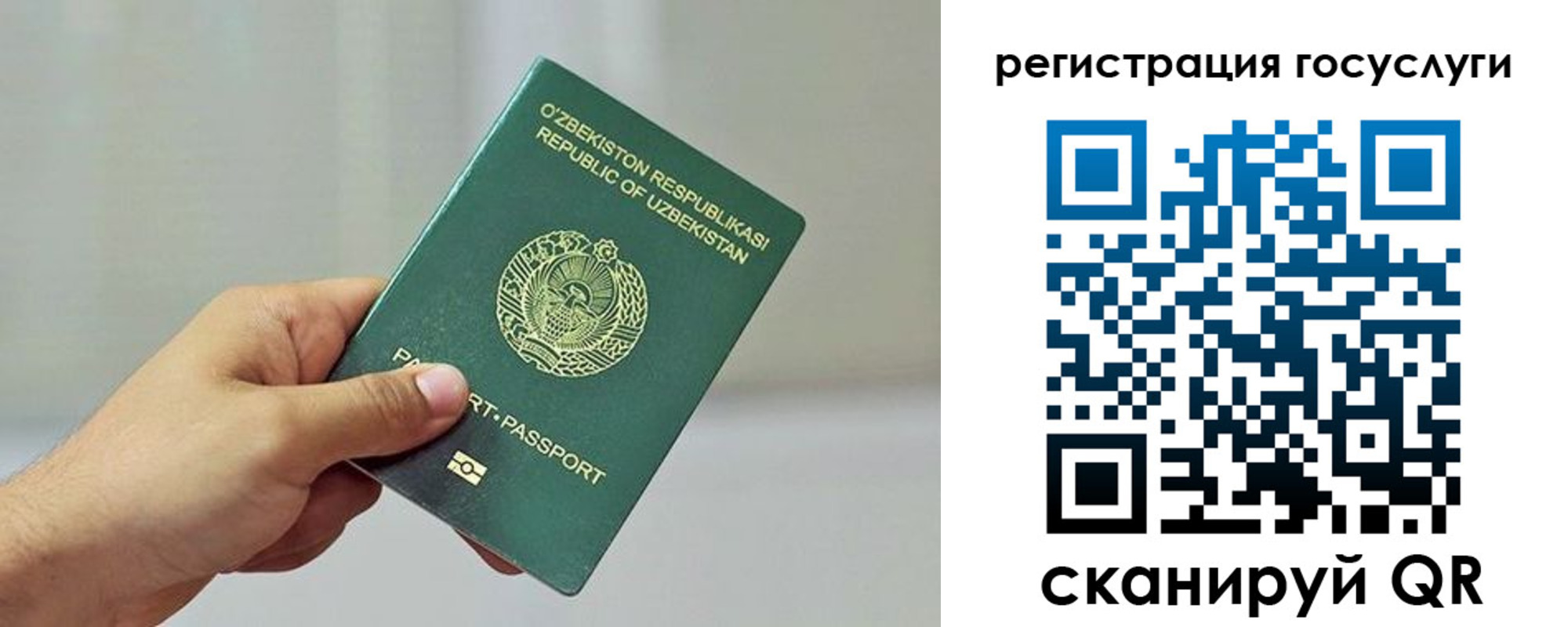 прописка гарантия в Ессентуках